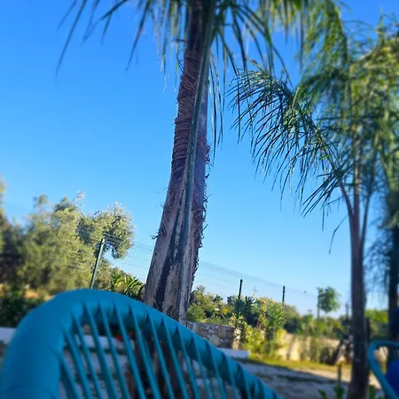 Tonia Livadh Himarë