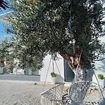 Tonia Livadh 4* Himare