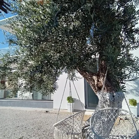 Tonia Livadh 4* הימארה