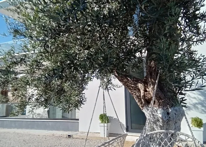 Tonia Livadh 4* Himare